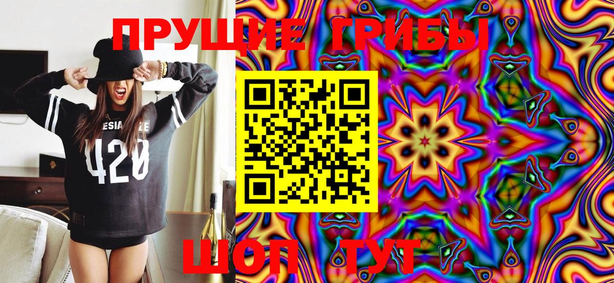 Галлюциногенные грибы Magic Shrooms Заводоуковск