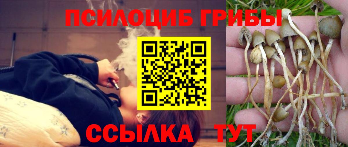 Галлюциногенные грибы Magic Shrooms  Галлюциногенные грибы ЛСД  Заводоуковск  Вход с VPN 